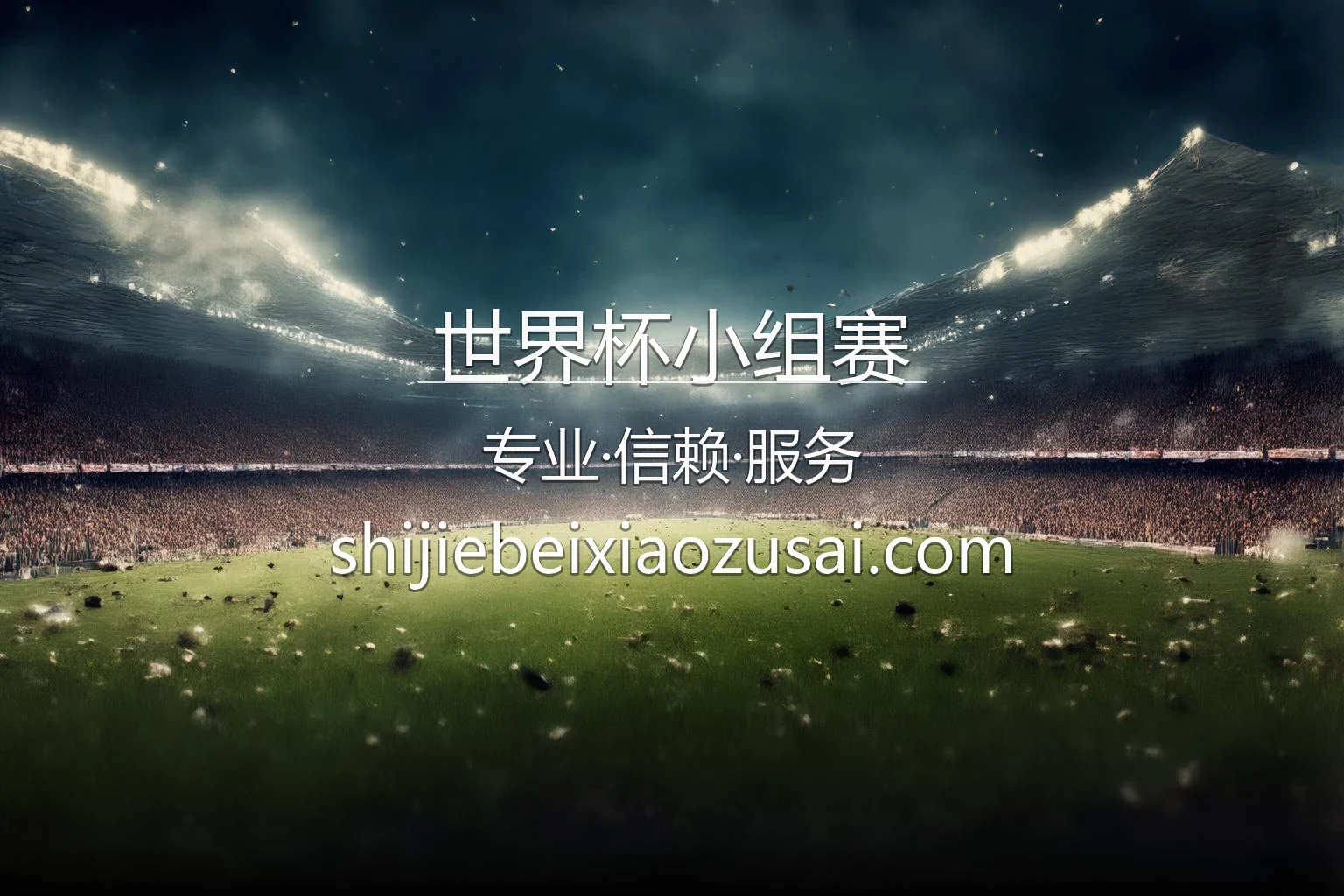 世界杯小组赛赛事现场