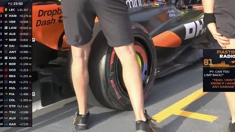 德约战纳豆引粉丝热议，斯瓦意外褒赞菲妹，泥地赛事首用电子线审系统