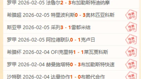 南非队勇捧2025橄榄球世界杯桂冠